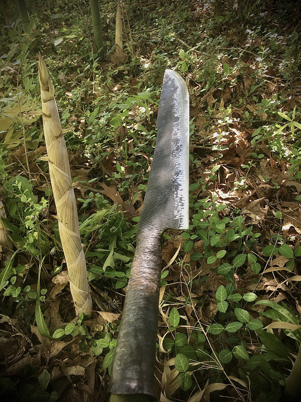 4AE68412-762D-4618-B770-3E65E7D0F549