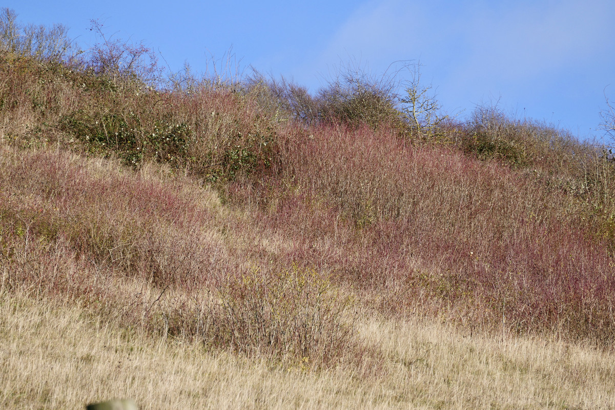 9DD1459C-8496-4F7C-A4AB-CDCAF382E580