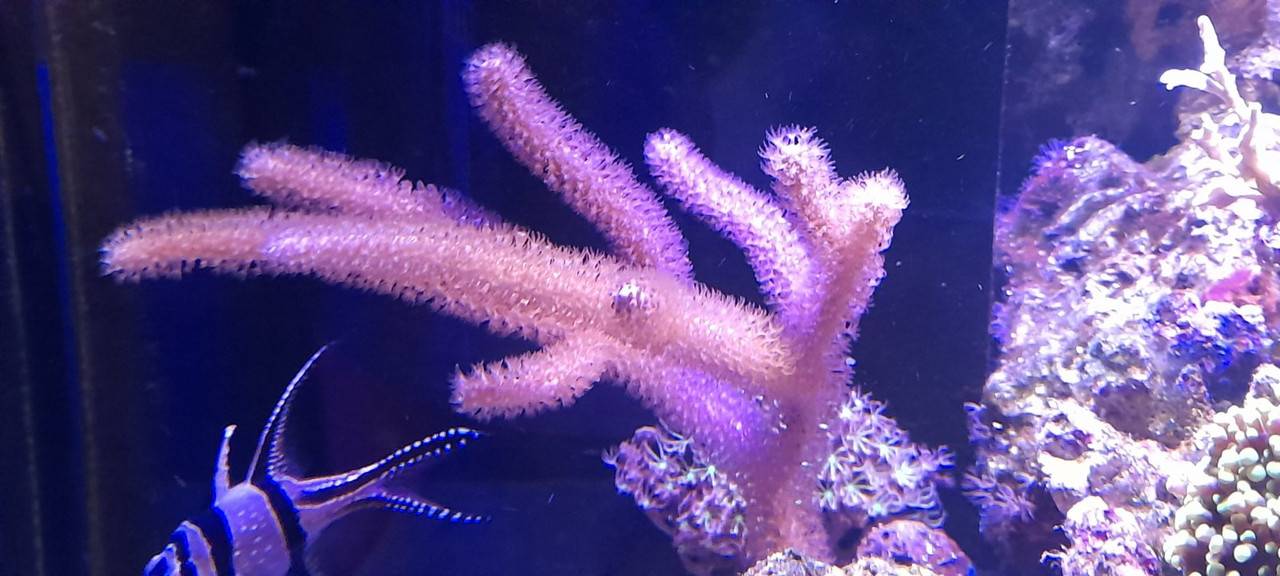 изображение_viber_2021-04-15_18-35-18