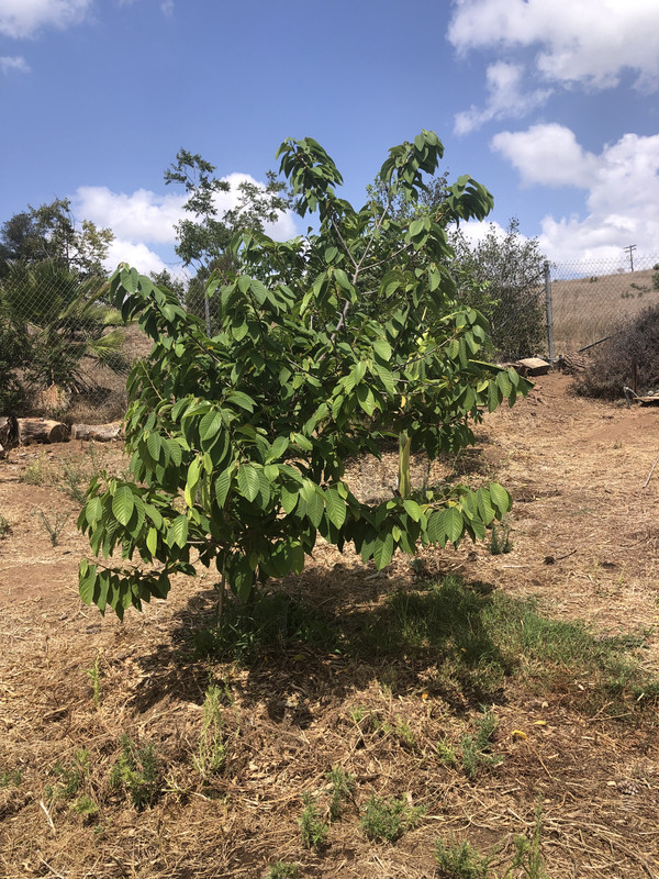 5BB81103-78A6-45D1-8C9D-54C85F3926AB