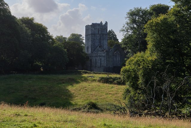 10 días por Irlanda en verano de 2024 - Blogs de Irlanda - DÍA 5 – Castillo Blarney – Parque Nacional Killarney (20)