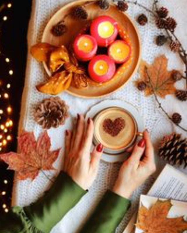 Screenshot_20230211_164536_Chrome