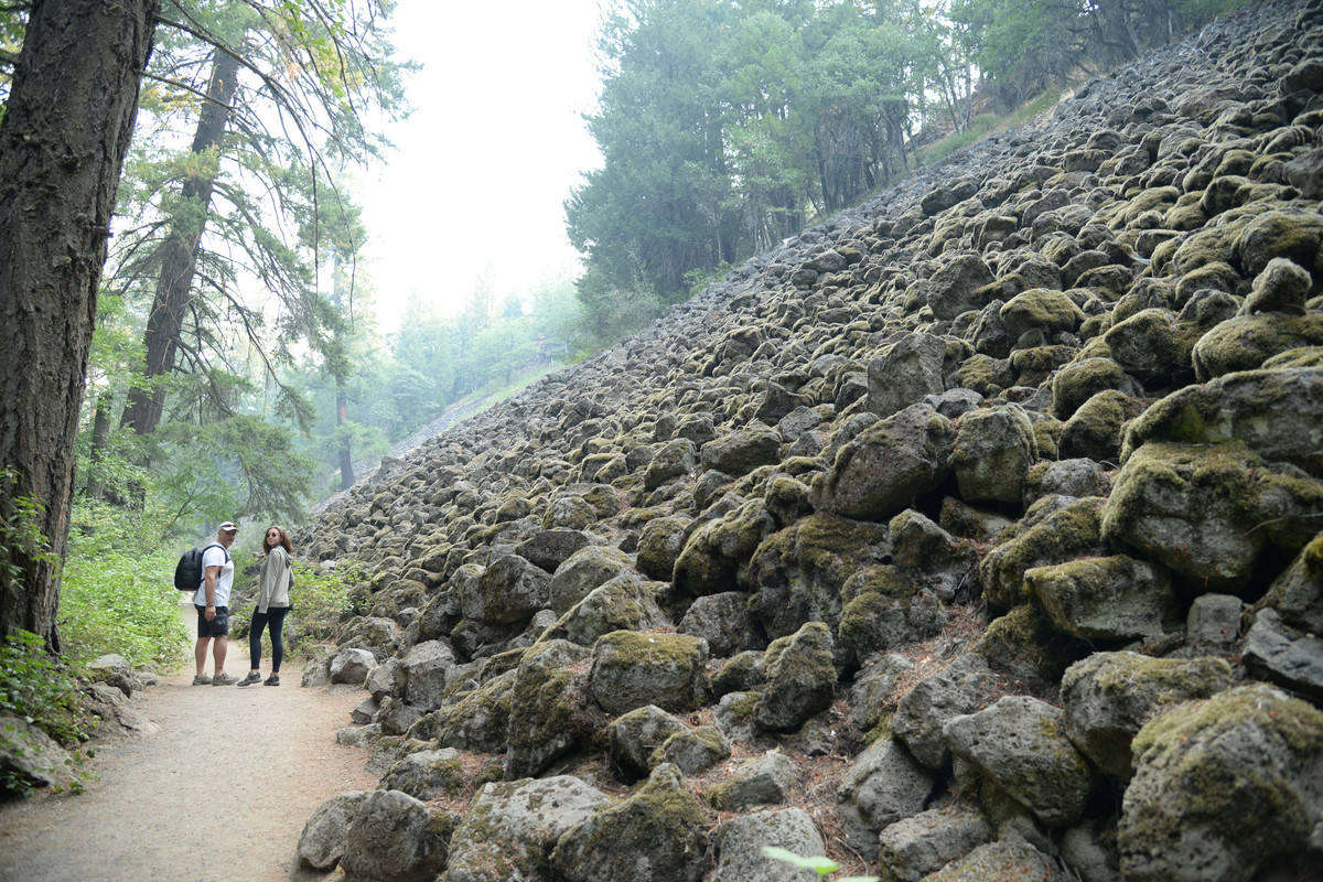 Árboles gigantes, fuegos y volcanes extintos - Oregon y California norte (2018) - Blogs de USA - Primeros días en el norte de California (29)