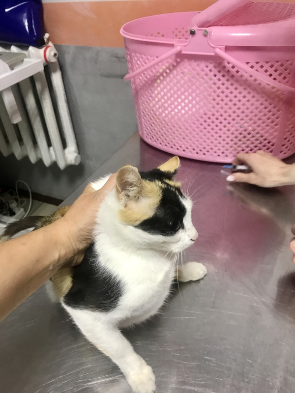 E2A96282-E950-49BE-AF12-EA9A068D9614