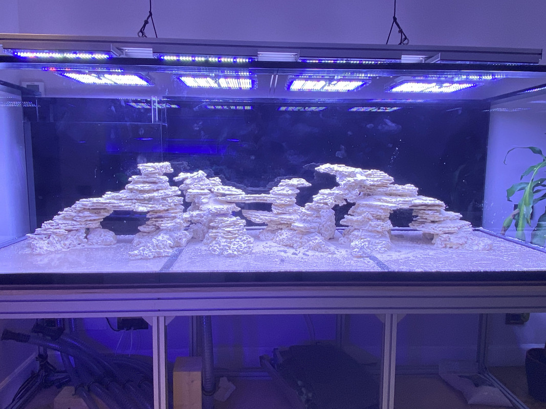 79179065-C92E-4EC5-AE99-E7CA2F3C4677