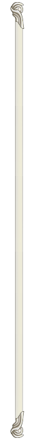 Divider-640x50-2.png