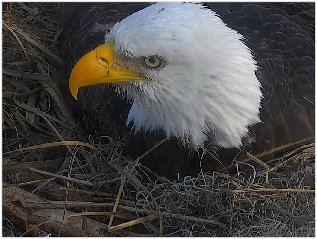 Screen Shot 01-24-20 at 02.36 PM