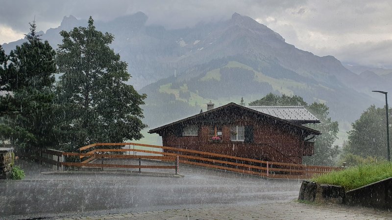50 sombras del verde en Suiza y Alemania - Blogs de Suiza - ADELBODEN Y TSCHENTENALP...un columpio de altura (8)