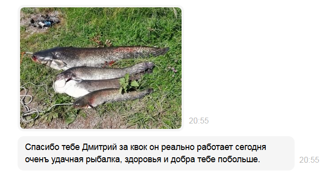 Отзыв с Авито..