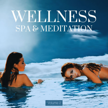 VA  Wellness Spa & Meditation Vol. 2 (2022)