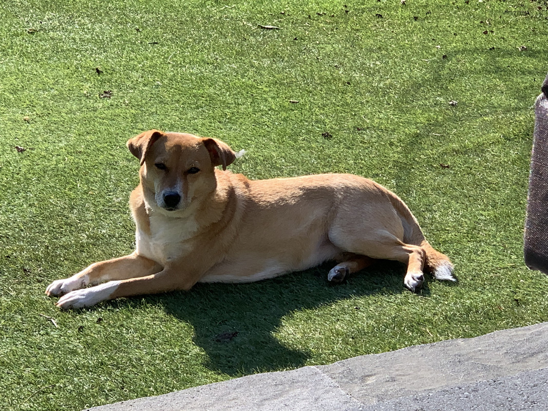 2435FD86-B4AE-46A2-9197-D6A8CDAD6545