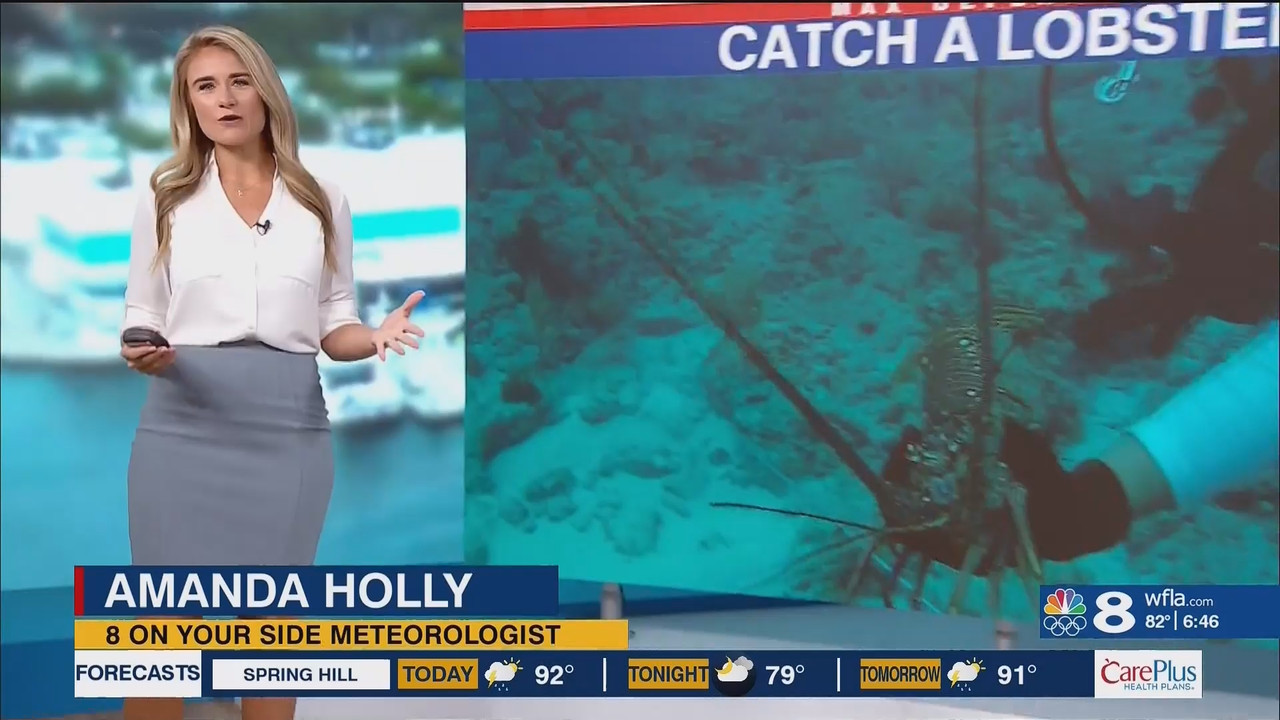 NewsChannel 8 Today at 6a_20240809_11001200.ts_snapshot_00.47.10.152