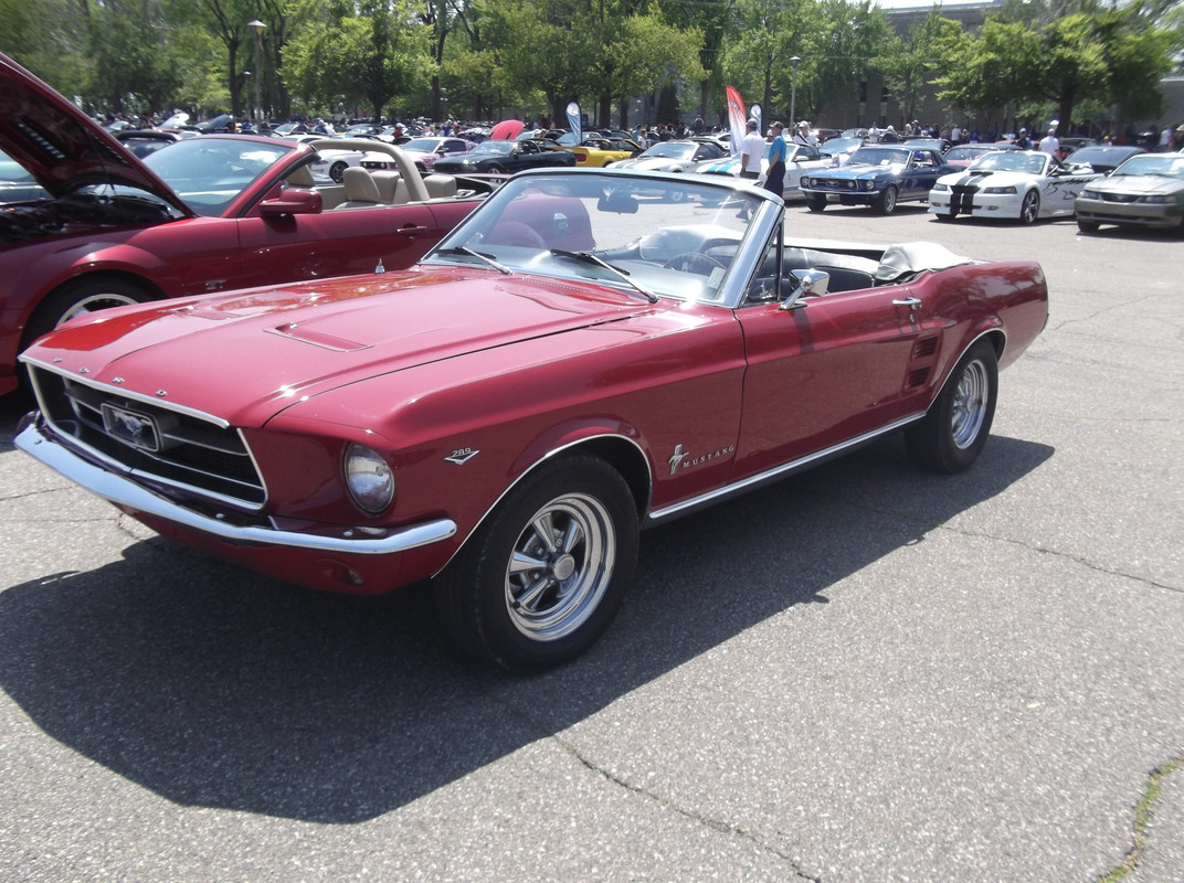 Activité 2023: Bénédiction des Mustang le 28 mai 2023 1967-rouge-8