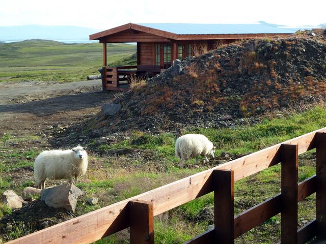 ISLANDIA en 11 DÍAS con 4x4 - Agosto 2016 - Blogs de Islandia - DÍA 10 (19/08/2016) –De Snaefellsnes a Reykjavik (2)