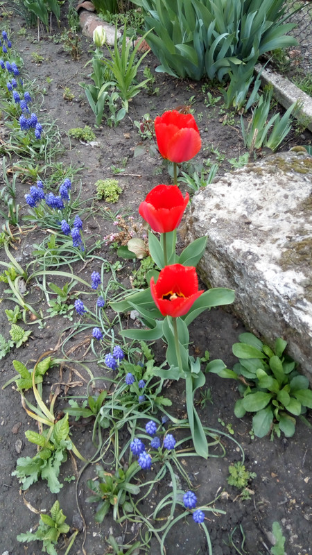 IMG_20190407_155913