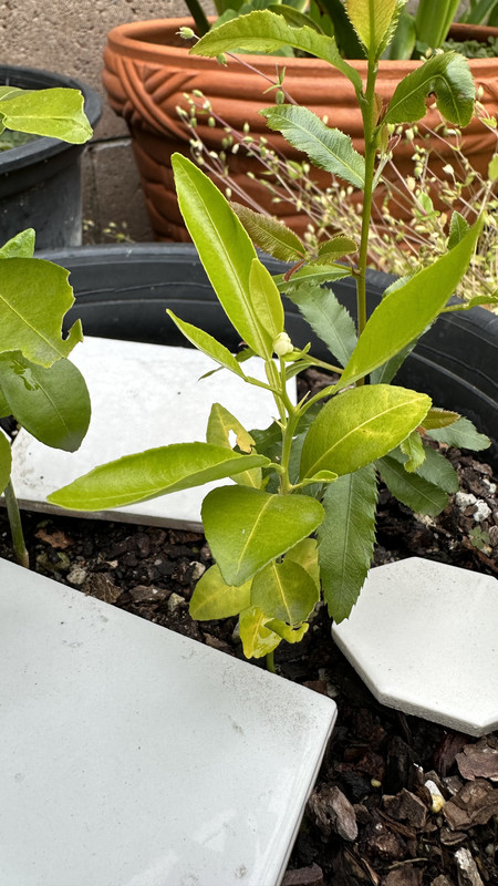 BF81907A-21B0-4674-AC42-66F9FCDDB9CB