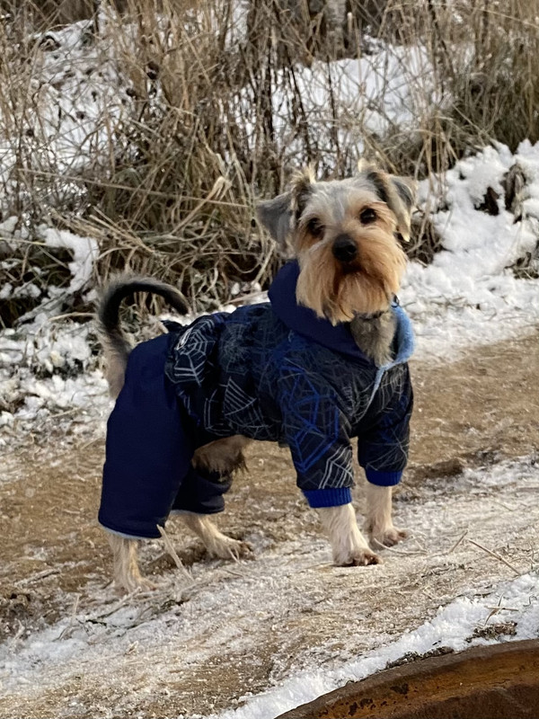 DFE05F87-4160-468C-8574-DF6F013C1A12