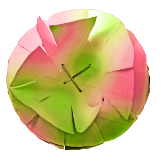 Mariposa_Kit_57