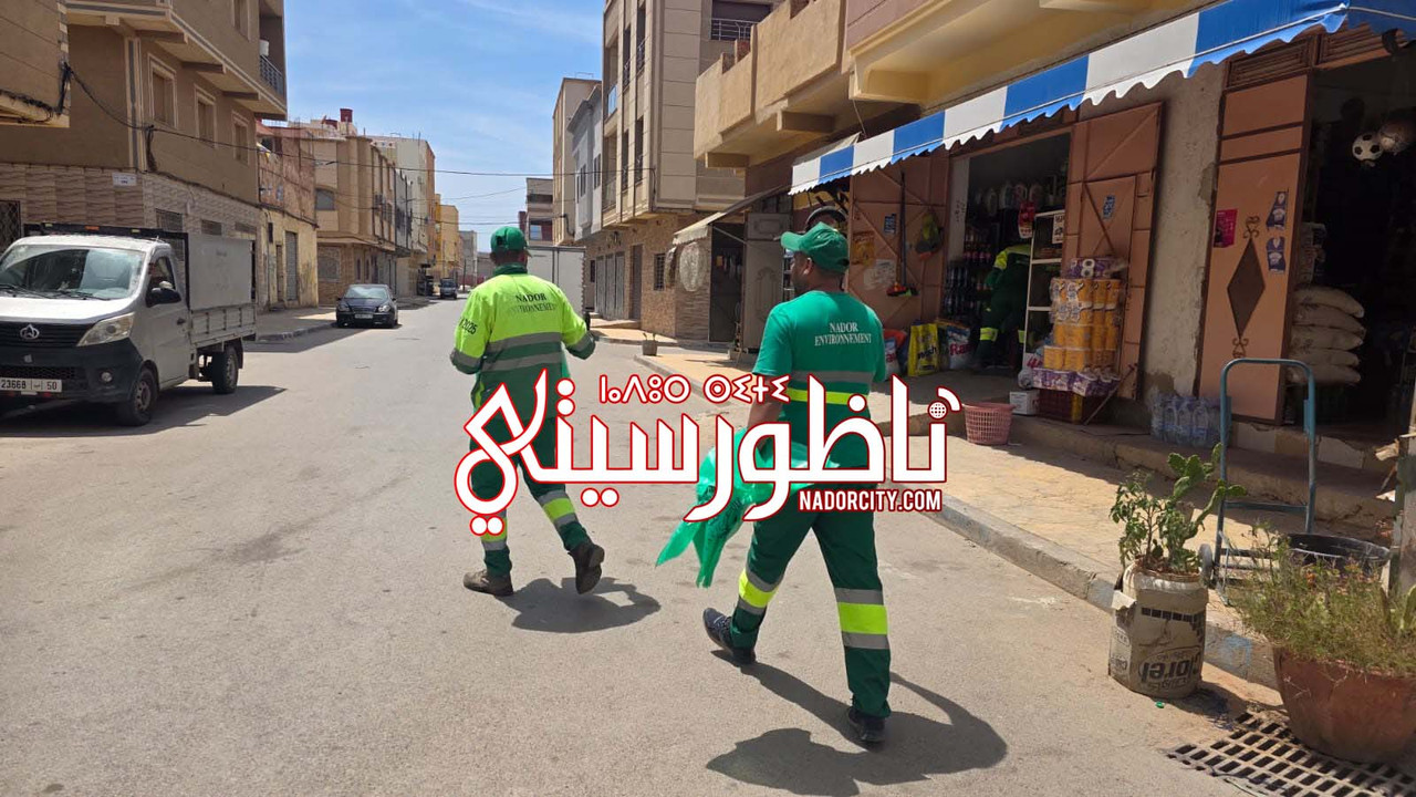 Whats-App-Image-2026-05-25-at-15-18-46-(3)