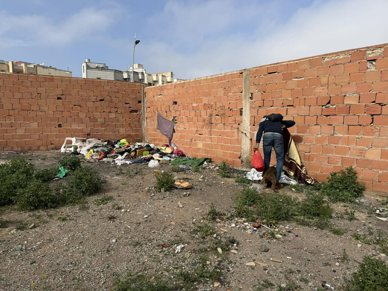 637537774-1548438932917678-5976251223540426842-n