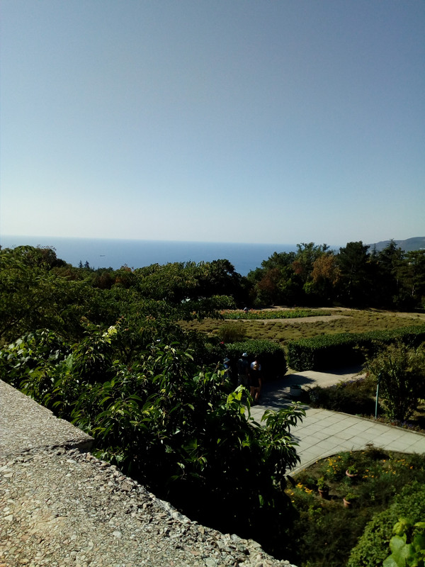 IMG_20170916_102229_1CS