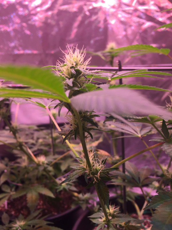 29332D1E-2D60-489D-A978-E95C34FD49BA