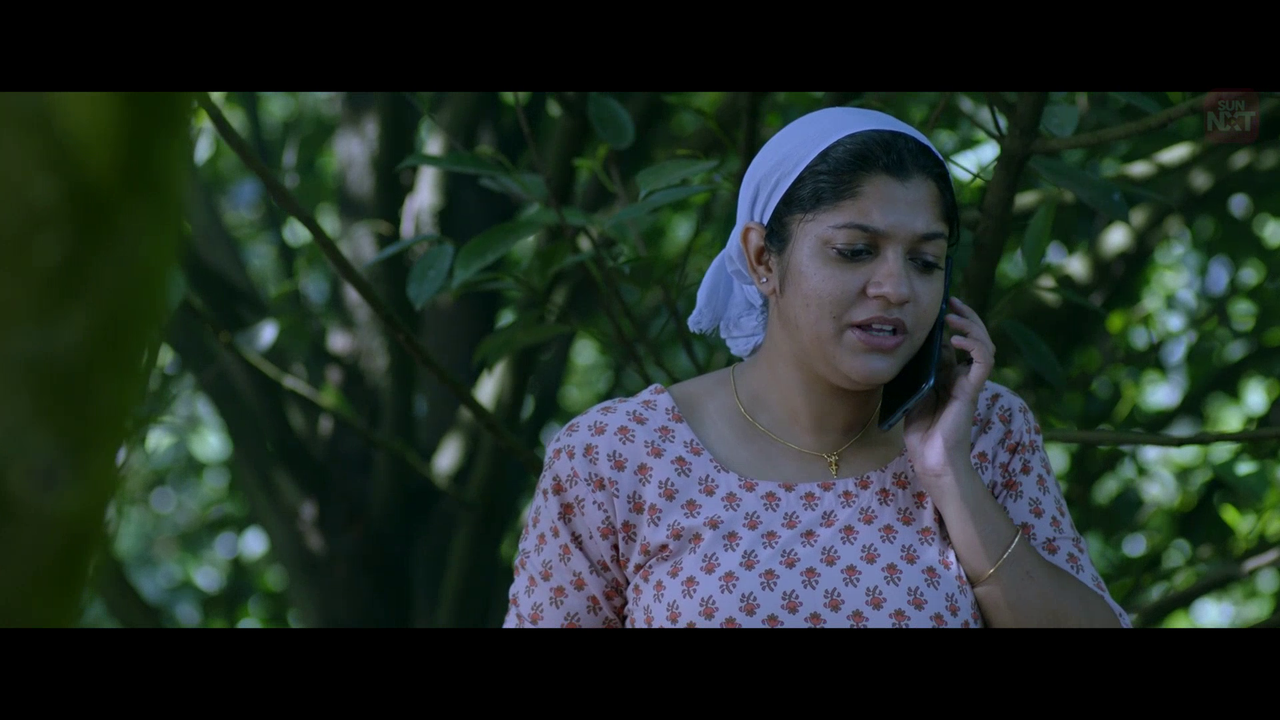 vlcsnap 2026 02 11 15h44m39s383