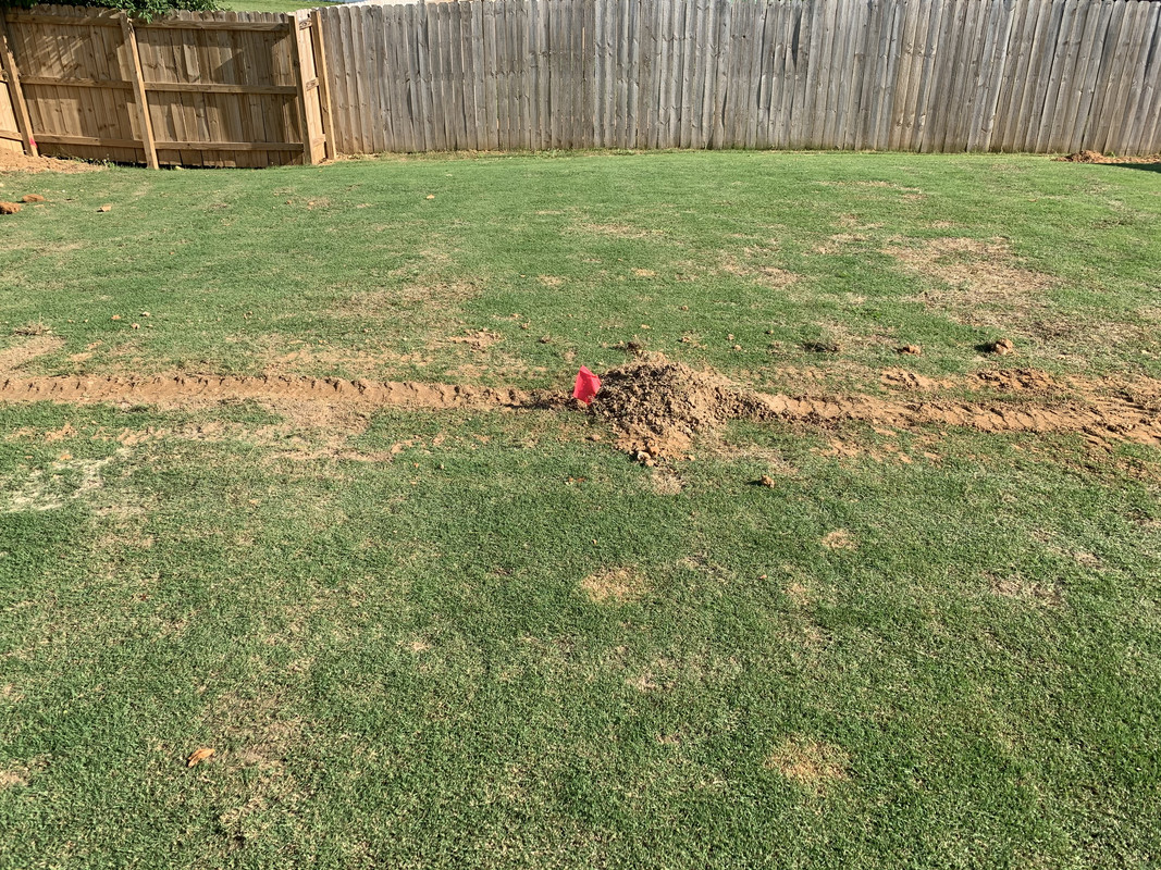 81E49390-CF3B-44CB-8606-29E83A1E4762