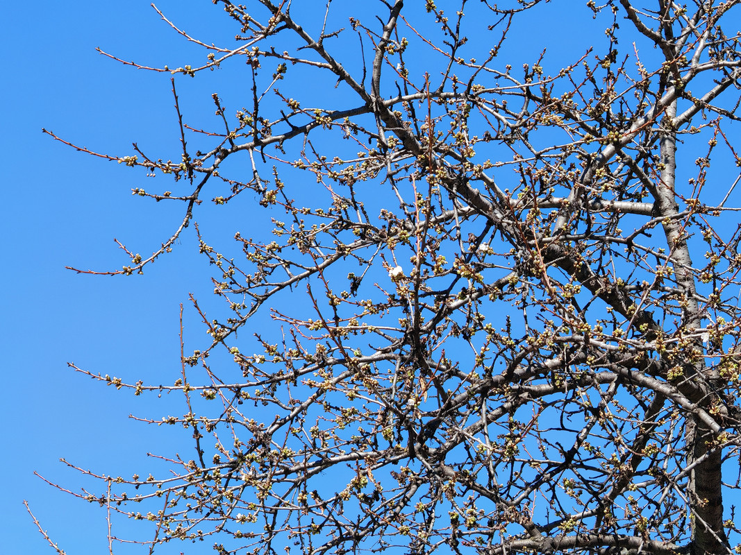 IMG_20240323_144031
