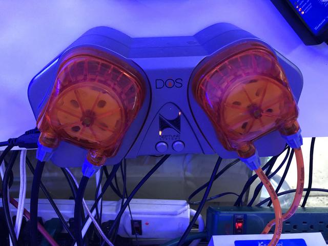 7E5E163C-52EE-4FBC-BDA0-5F842C34D56A