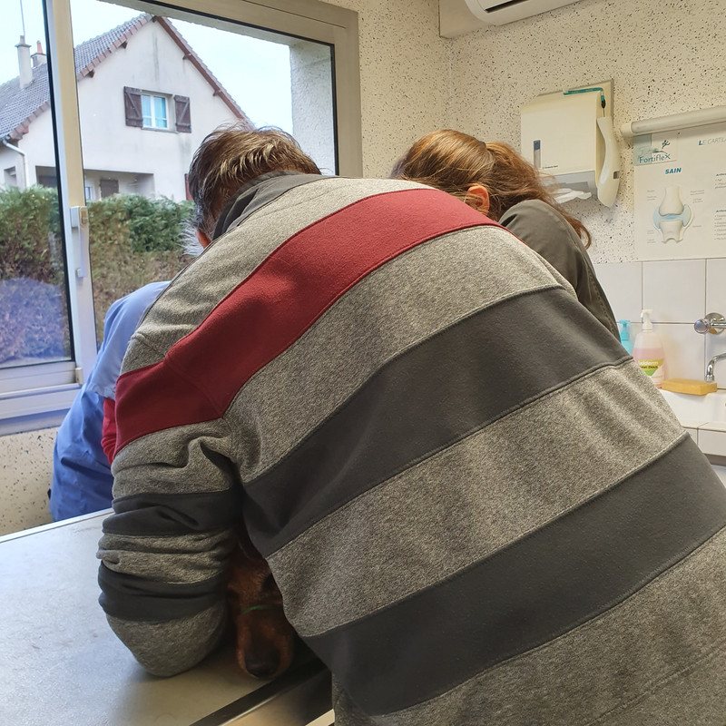 [Image: 20210121-154436.jpg]