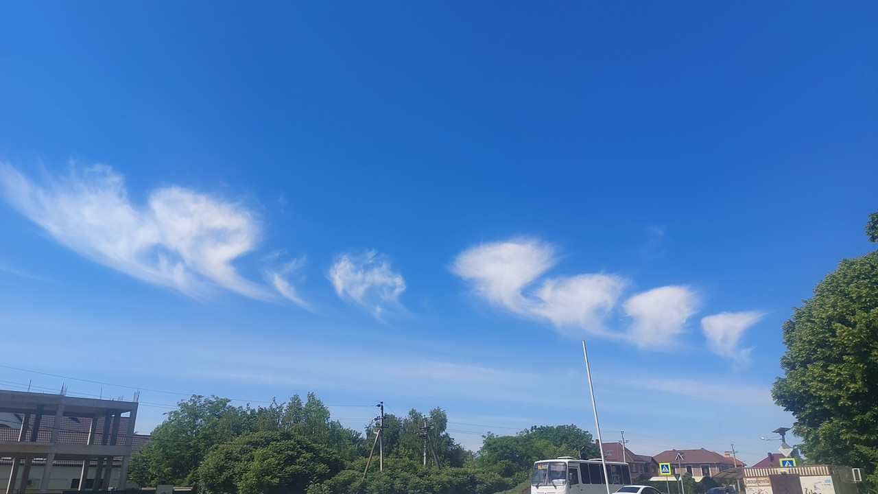 IMG_20240523_103103_125