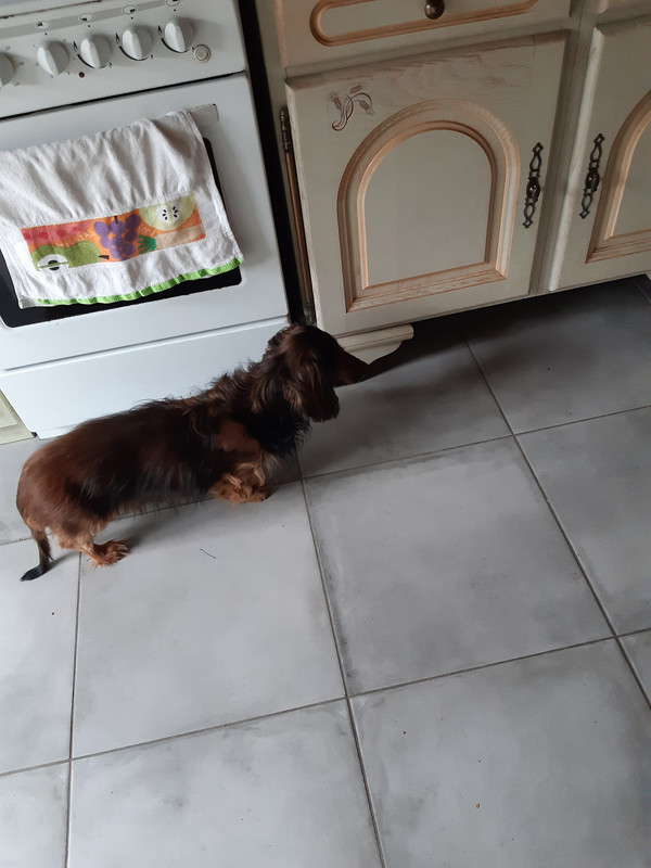 [Image: 20230307-085605.jpg]