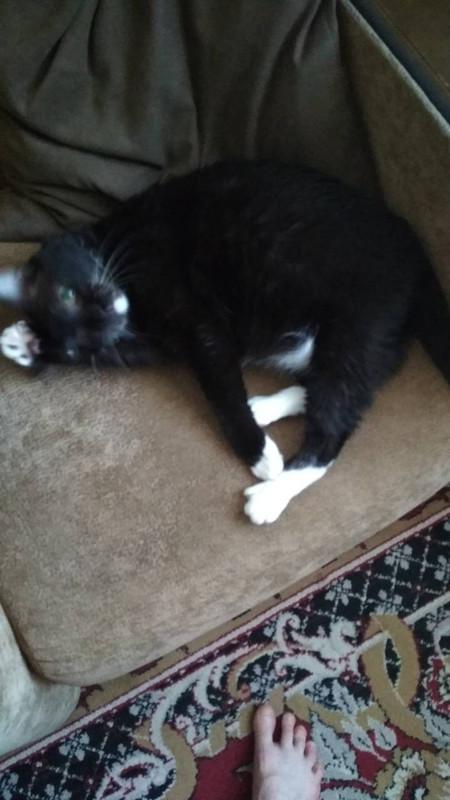 Крот на передержке