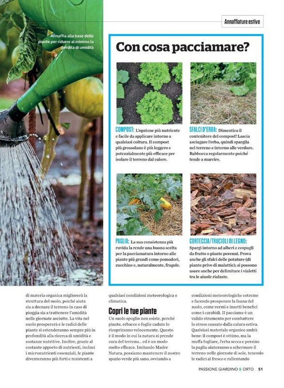 Pass Giar e Orto Lug-Ago-Set 2022 (8)