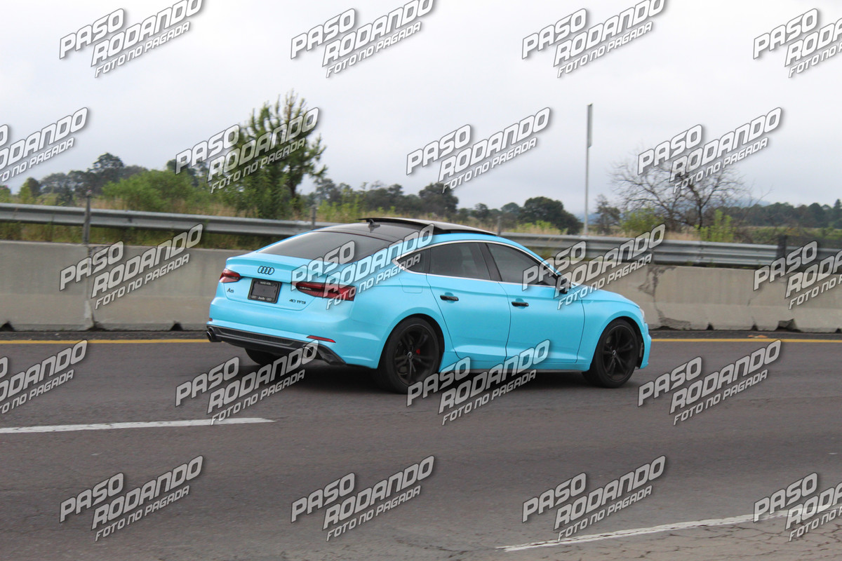 IMG 1939 wm 7675189 200000001 watermarked — Postimages