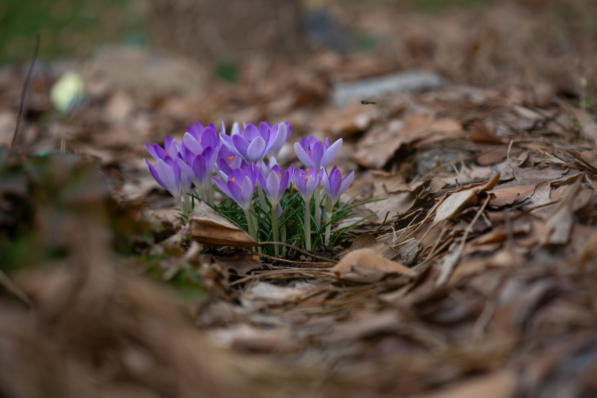 IMG-7f879981ad496376fbe82e391d41e4ed-V