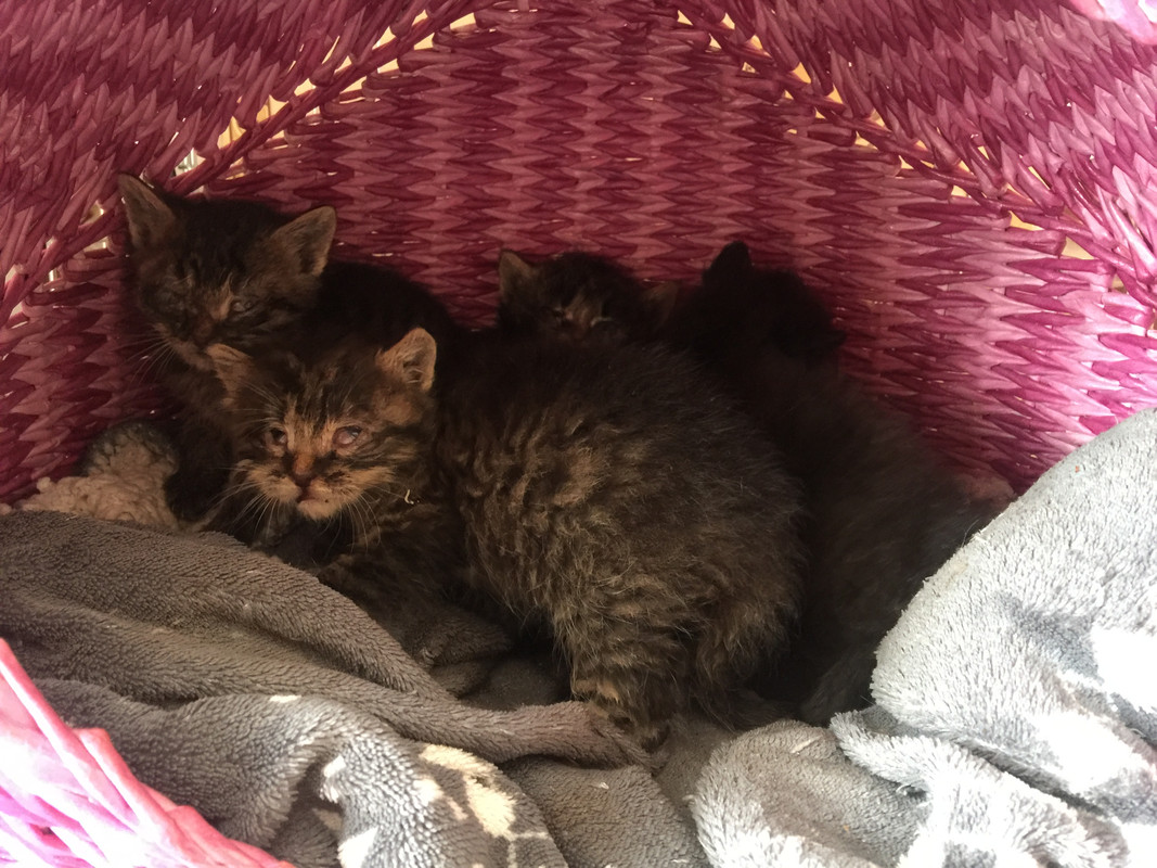 E82C9FD8-3433-4A44-9DCD-16AFE7DFD03D