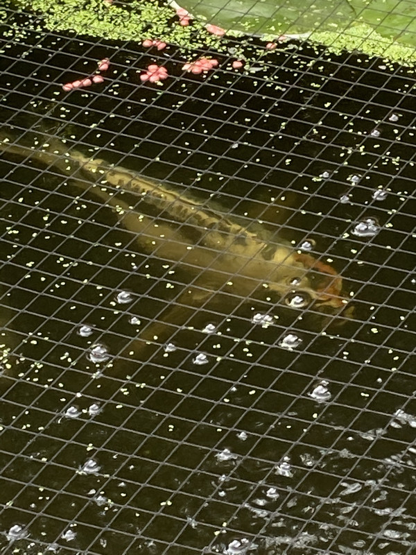 25ED5C26-12E4-4DCC-849A-F719DC9311D0