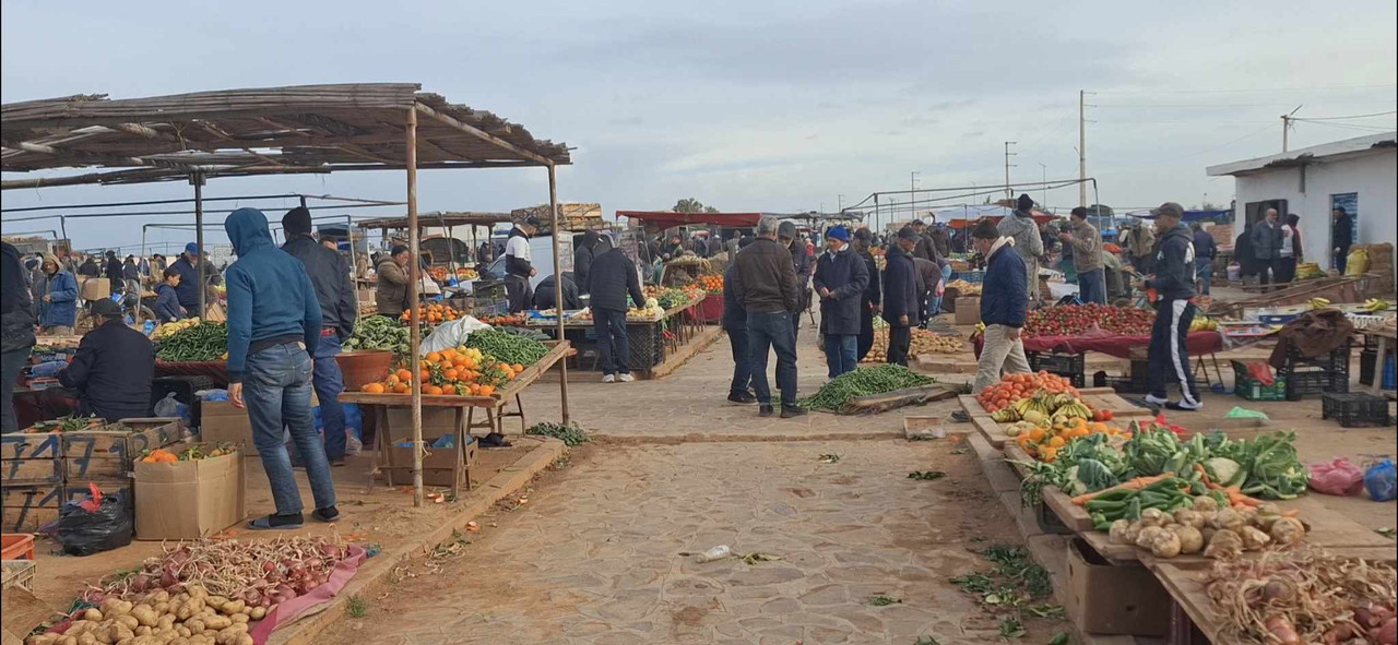 633192494-1629882071795735-7359151760169998432-n