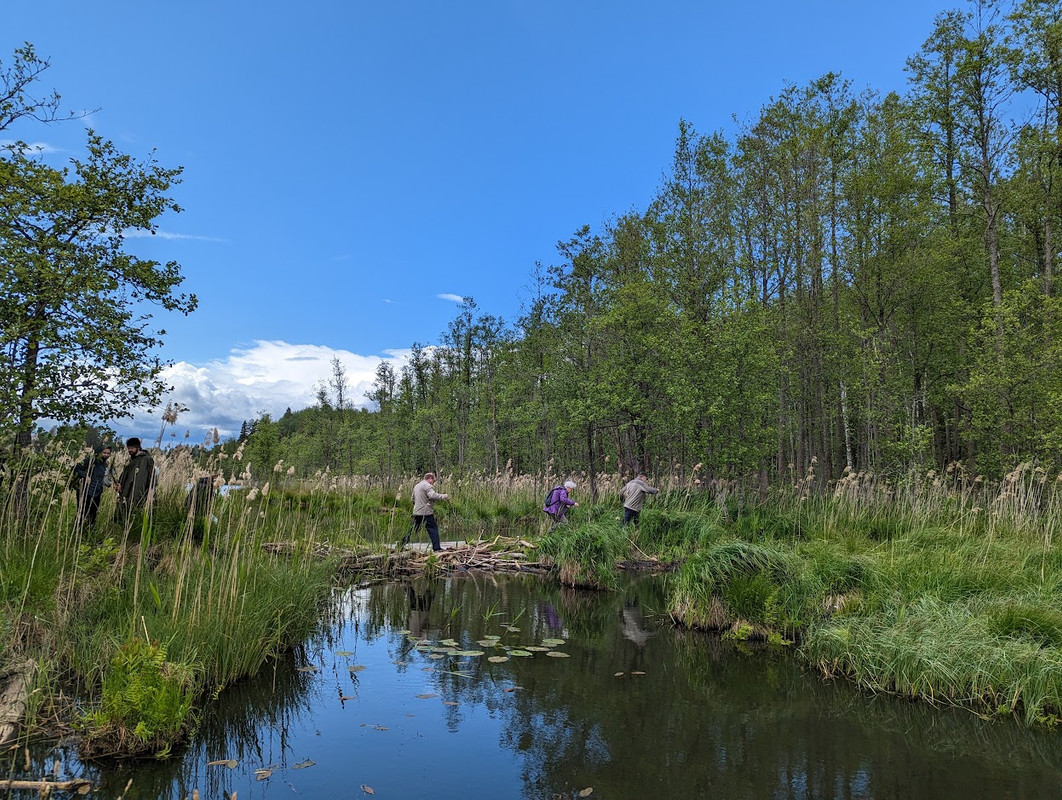 PXL_20230603_110653187