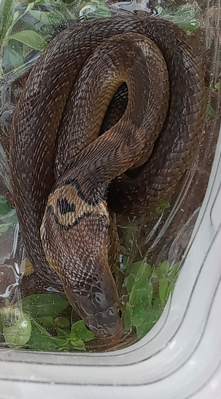 20260902 112951(1)