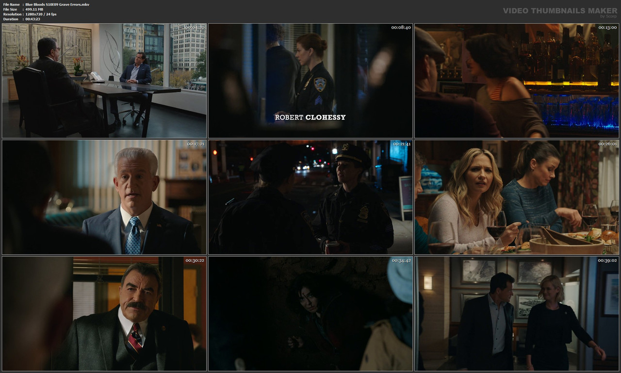 Blue Bloods S10E09 Grave Errors.mkv