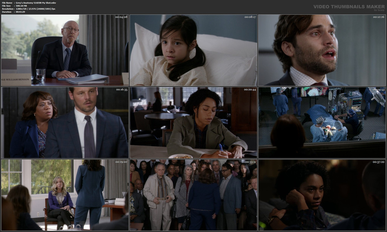 Grey's Anatomy S16E08 My Shot.mkv