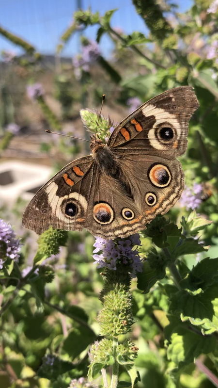 A1445D42-6F2B-4737-99E0-8DCF74902403