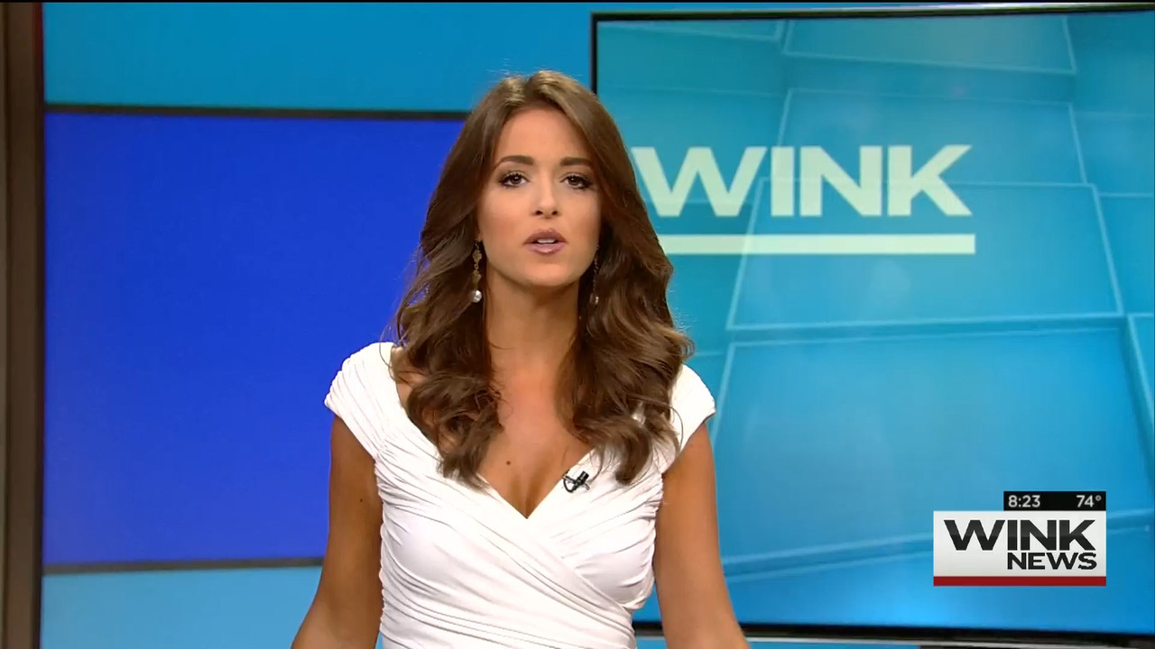 11.15 - 11.00.00 - WINK News @ 6 00AM Sunday..ts_snapshot_00.24.47.713