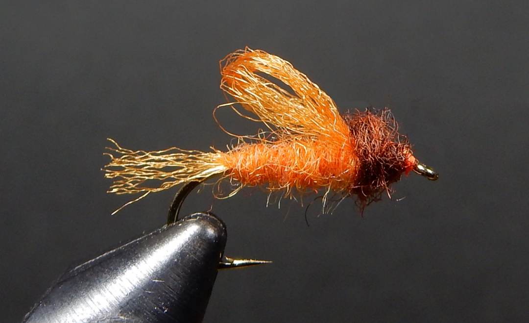 Iris-Caddis-October-Caddis-1080.jpg