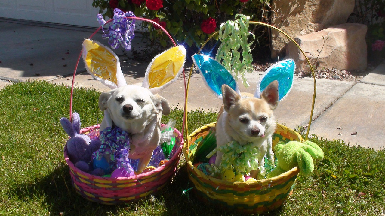 easter small2