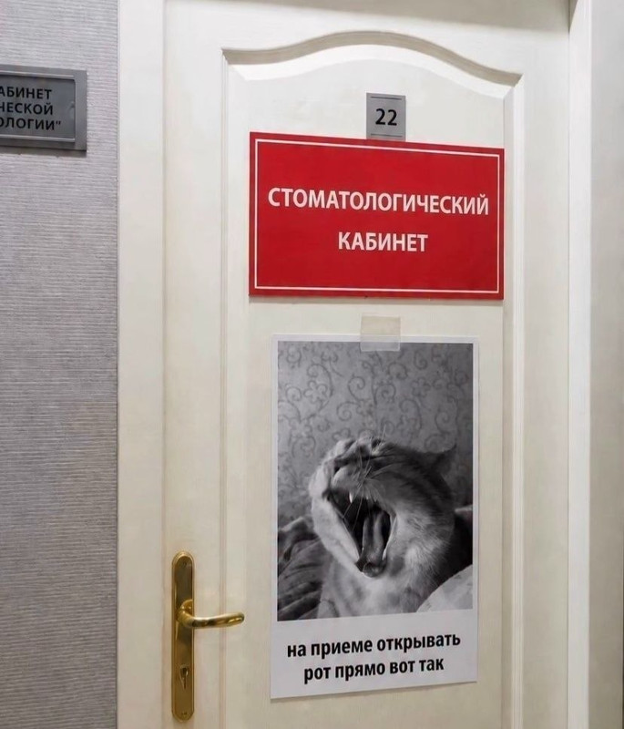 [Изображение: photo-2026-08-15-16-32-13.jpg]