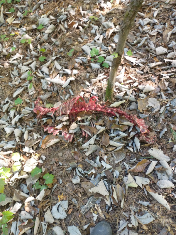 IMG_20220929_102538407